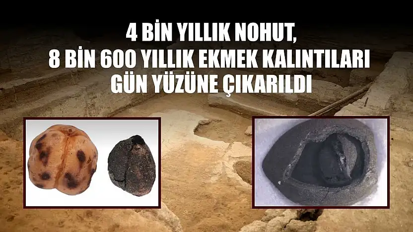 4 bin yıllık nohut, 8 bin 600 yıllık ekmek kalıntıları gün yüzüne çıkarıldı