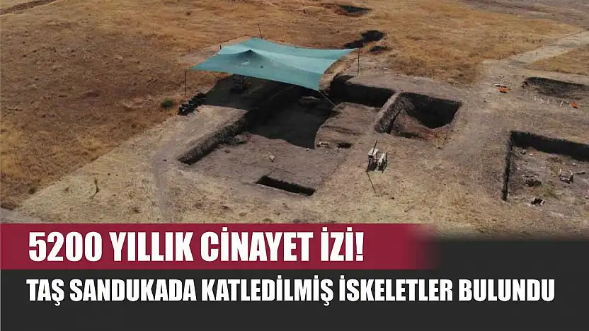 5200 Yıllık Cinayet İzi! Taş Sandukada Katledilmiş İskeletler Bulundu