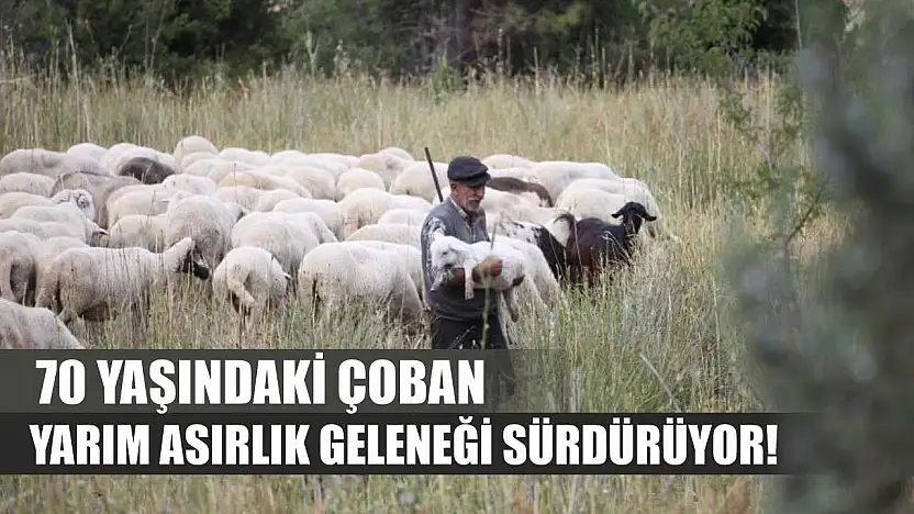 70 yaşındaki çoban yarım asırlık geleneği sürdürüyor!