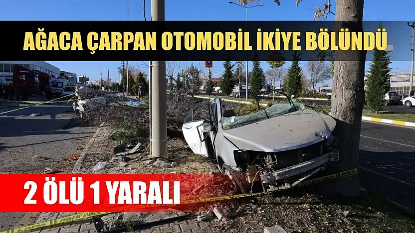 Ağaca çarpan otomobil ikiye bölündü: 2 ölü 1 yaralı