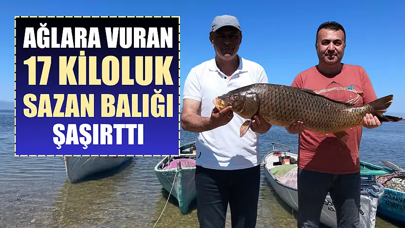 Ağlara vuran 17 kiloluk sazan balığı şaşırttı