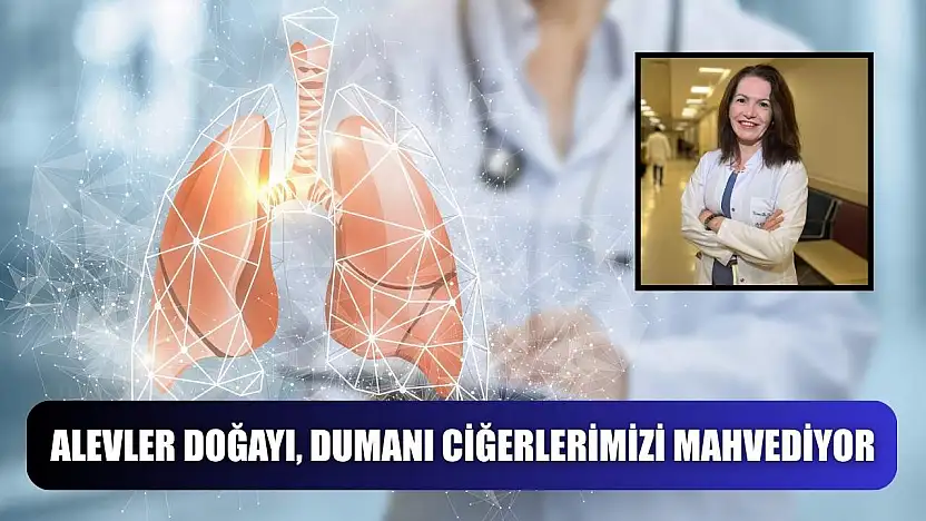 Alevler doğayı, dumanı ciğerlerimizi mahvediyor