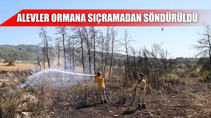 Alevler ormana sıçramadan söndürüldü