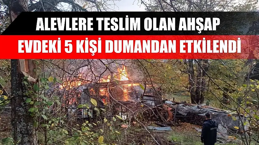 Alevlere teslim olan ahşap evdeki 5 kişi dumandan etkilendi