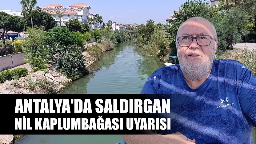Antalya'da saldırgan Nil kaplumbağası uyarısı