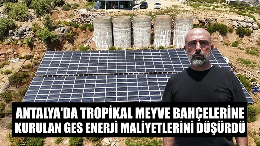 Antalya'da tropikal meyve bahçelerine kurulan GES enerji maliyetlerini düşürdü