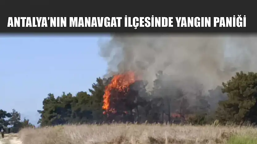 Antalya'nın Manavgat ilçesinde yangın paniği