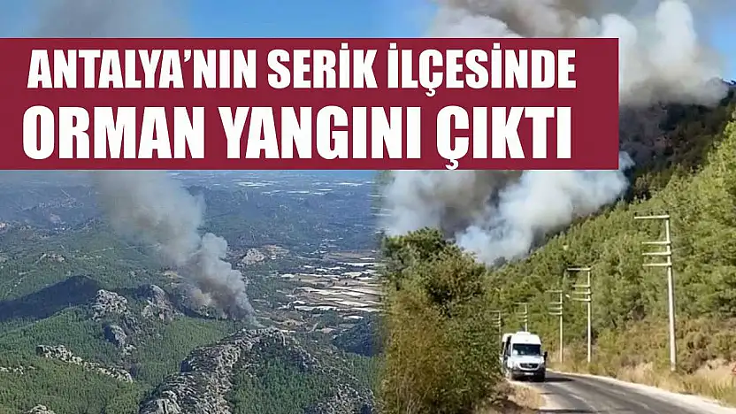 Antalya'nın Serik İlçesinde Orman Yangını Çıktı