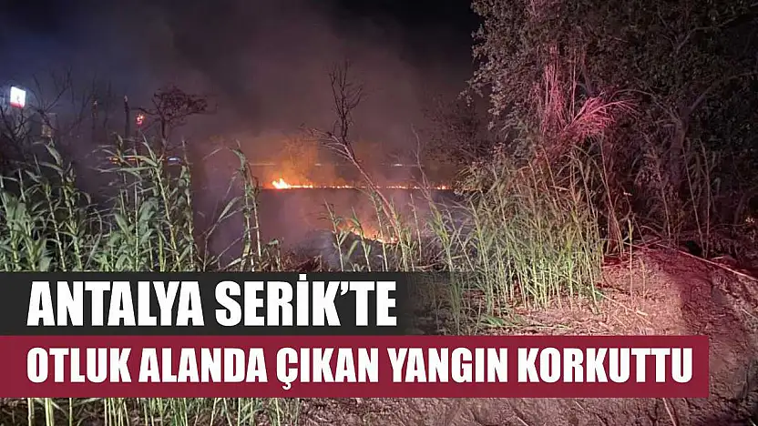 Antalya Serik'te otluk alanda çıkan yangın korkuttu