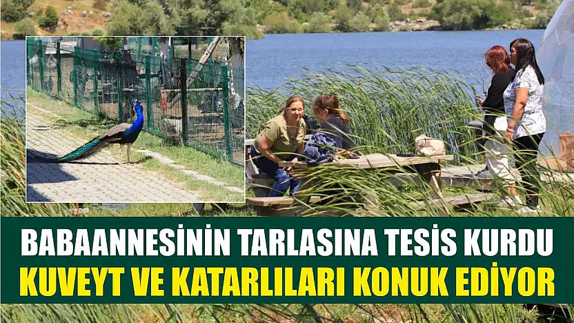 Babaannesinin tarlasına tesis kurdu Kuveyt ve Katarlıları konuk ediyor
