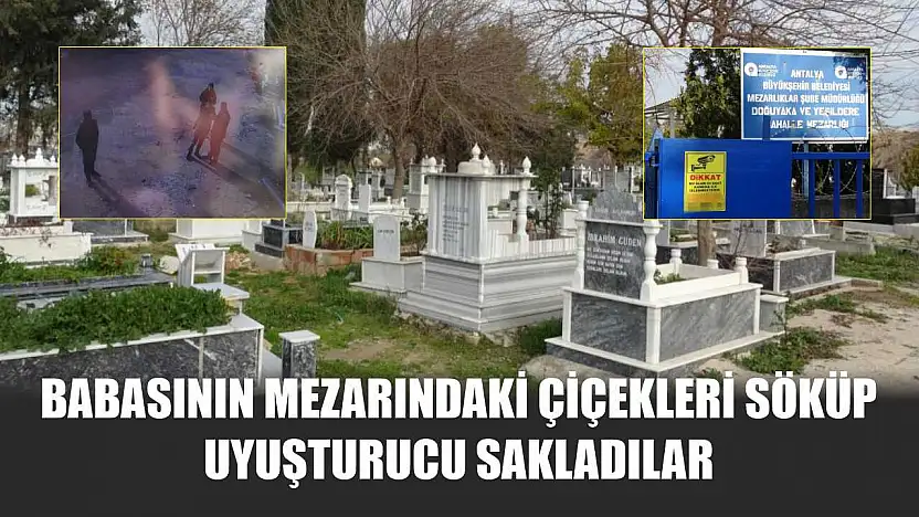 Babasının mezarındaki çiçekleri söküp uyuşturucu sakladılar