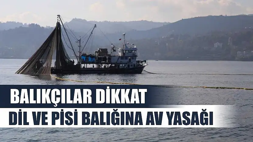 Balıkçılar Dikkat: Dil ve Pisi Balığına Av Yasağı