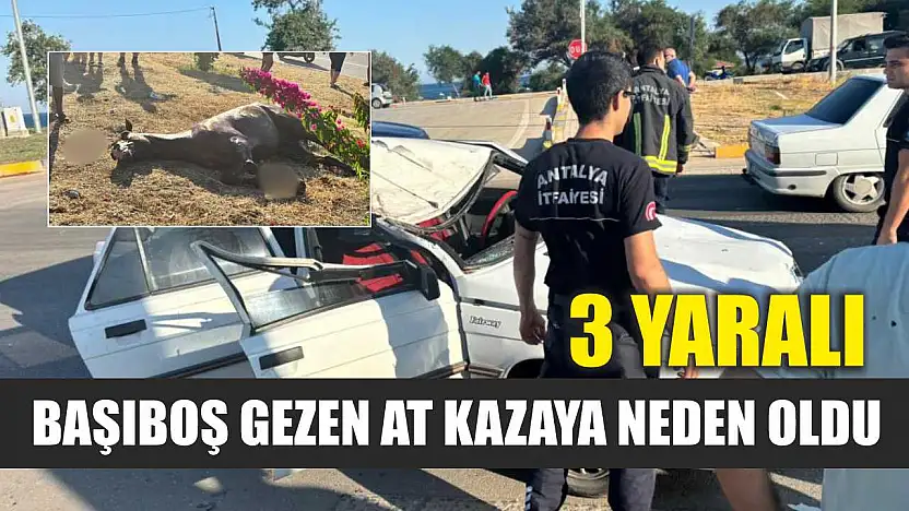 Başıboş gezen at kazaya neden oldu: 3 kişi yaralandı