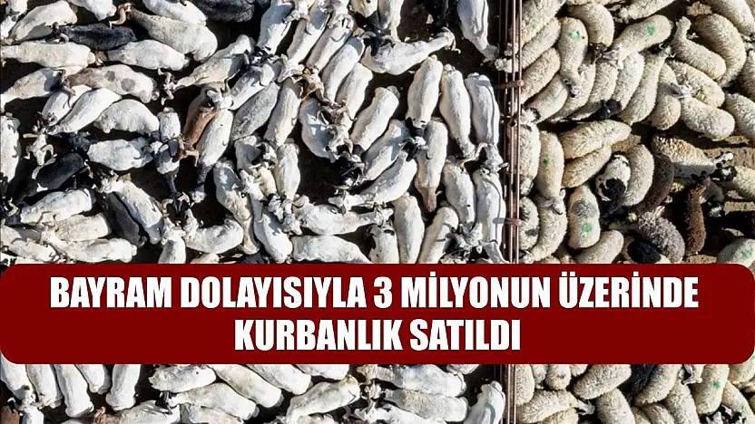 Bayram dolayısıyla 3 milyonun üzerinde kurbanlık satıldı