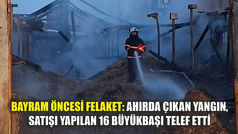 Bayram öncesi felaket: Ahırda çıkan yangın, satışı yapılan 16 büyükbaşı telef etti