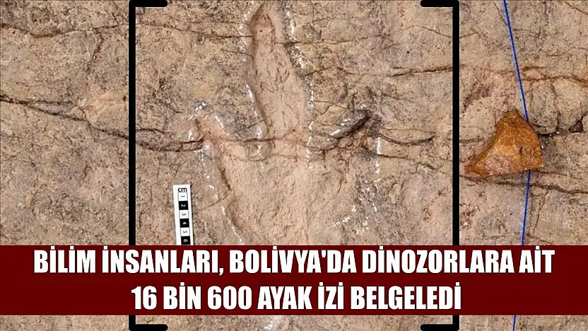 Bilim insanları, Bolivya'da dinozorlara ait 16 bin 600 ayak izi belgeledi