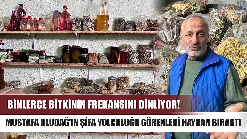 Binlerce bitkinin frekansını dinliyor! Mustafa Uludağ'ın şifa yolculuğu görenleri hayran bıraktı