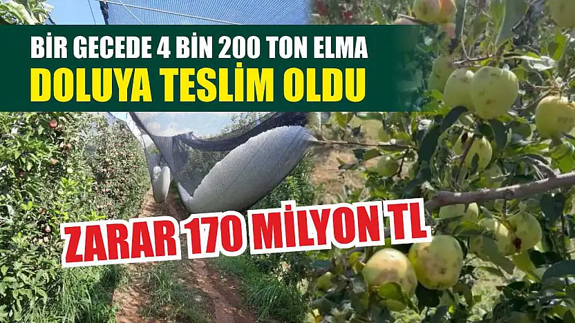 Bir gecede 4 bin 200 ton elma doluya teslim oldu, zarar 170 milyon TL
