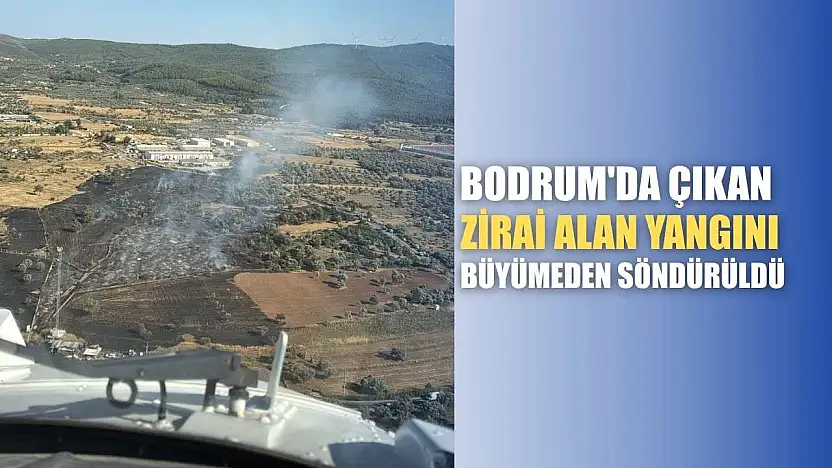 Bodrum'da çıkan zirai alan yangını büyümeden söndürüldü
