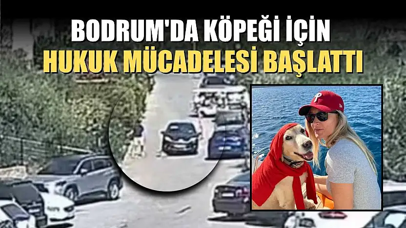 Bodrum'da köpeği için hukuk mücadelesi başlattı