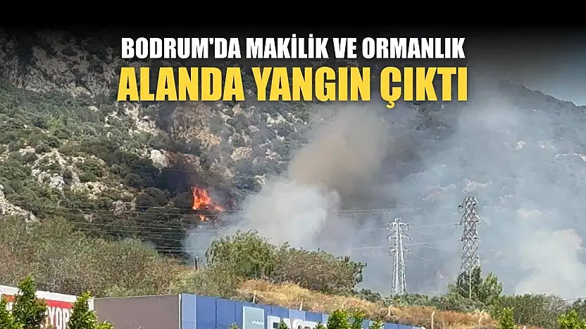 Bodrum'da makilik ve ormanlık alanda yangın çıktı