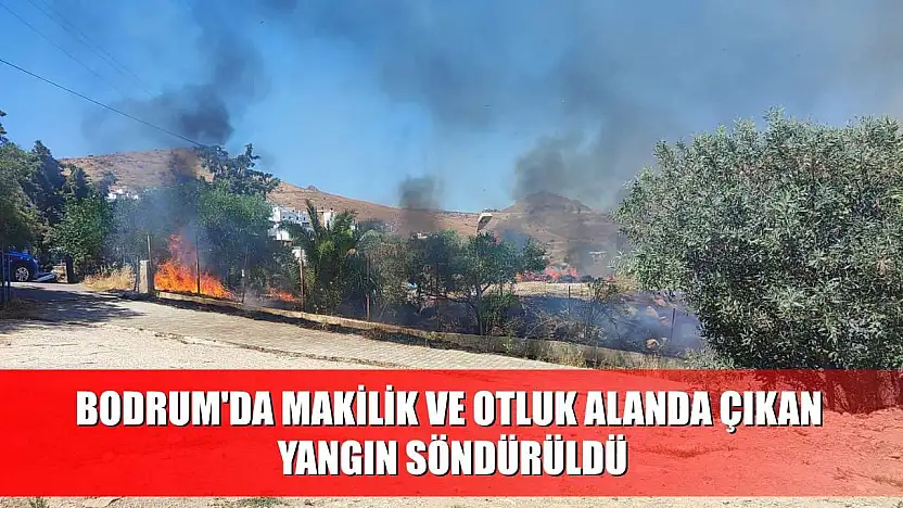 Bodrum'da makilik ve otluk alanda çıkan yangın söndürüldü