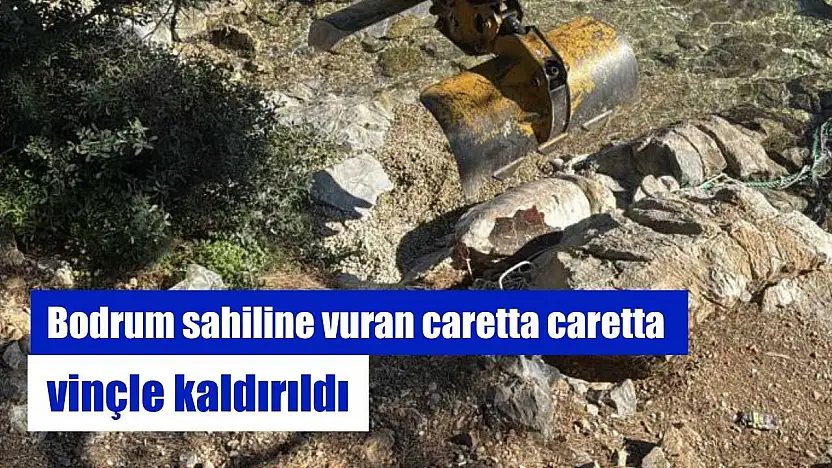 Bodrum sahiline vuran caretta caretta vinçle kaldırıldı