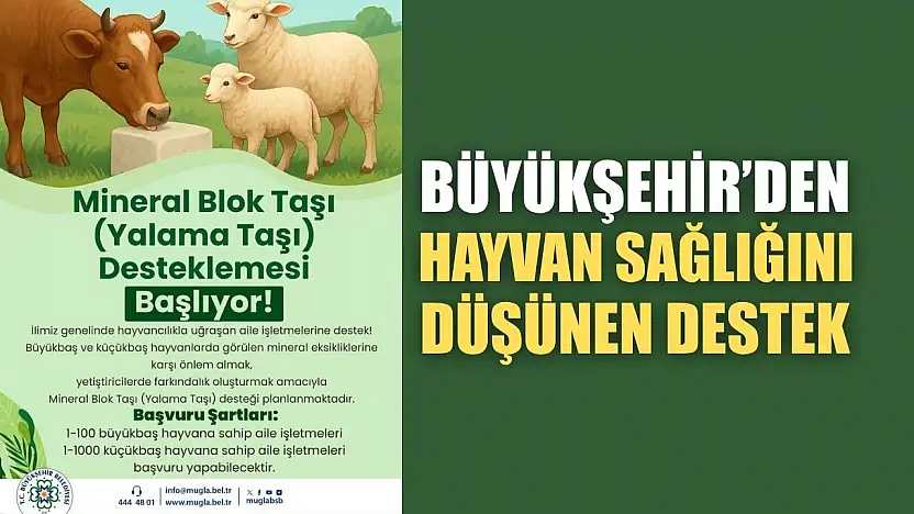 Büyükşehir'den Hayvan Sağlığını Düşünen Destek