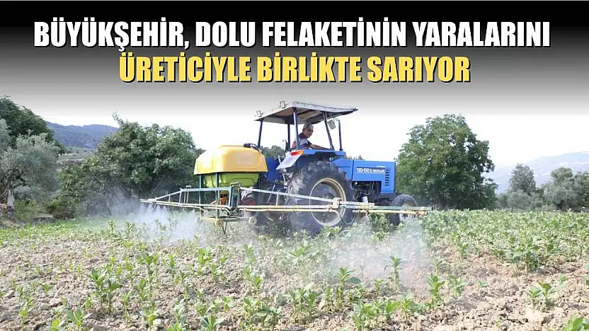 Büyükşehir, Dolu Felaketinin Yaralarını Üreticiyle Birlikte Sarıyor
