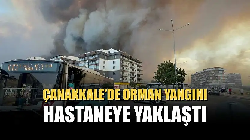 Çanakkale'de orman yangını hastaneye yaklaştı