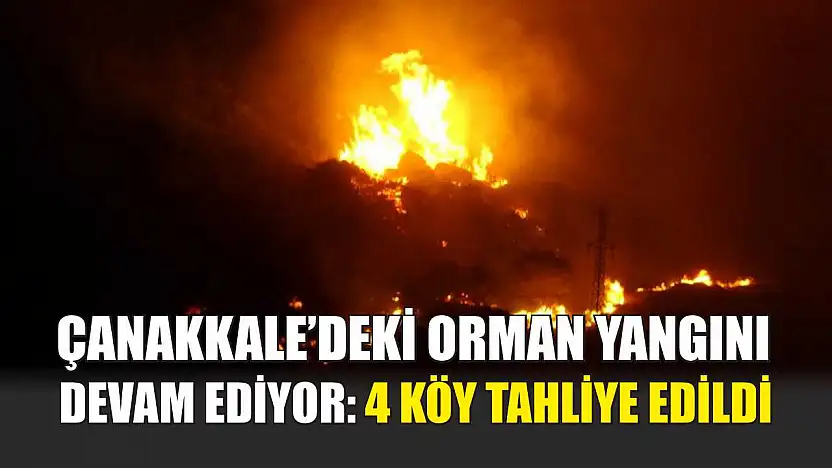 Çanakkale'deki orman yangını devam ediyor: 4 köy tahliye edildi