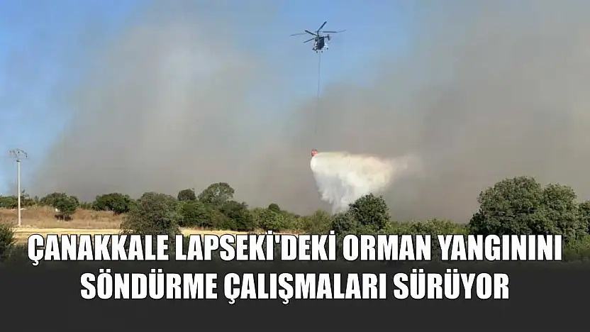 Çanakkale Lapseki'deki orman yangınını söndürme çalışmaları sürüyor