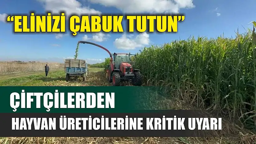 Çiftçilerden hayvan üreticilerine kritik uyarı: 'Elinizi Çabuk Tutun'