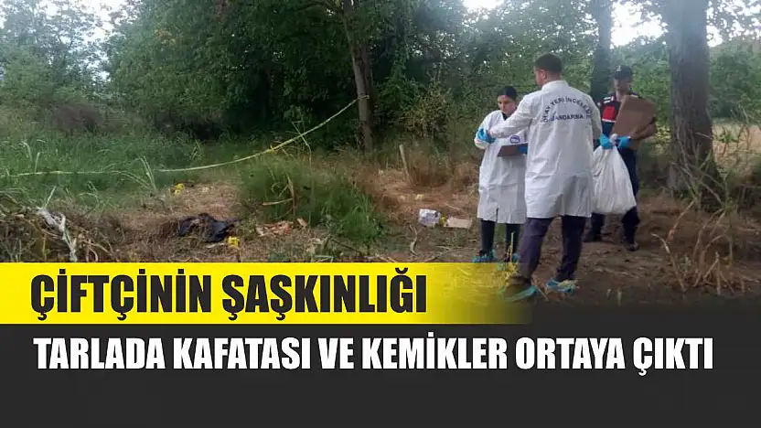 Çiftçinin Şaşkınlığı: Tarlada Kafatası ve Kemikler Ortaya Çıktı
