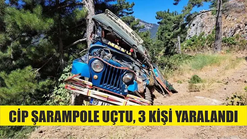 Cip şarampole uçtu, 3 kişi yaralandı