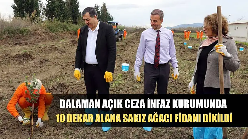 Dalaman Açık Ceza İnfaz Kurumunda 10 dekar alana Sakız ağacı fidanı dikildi