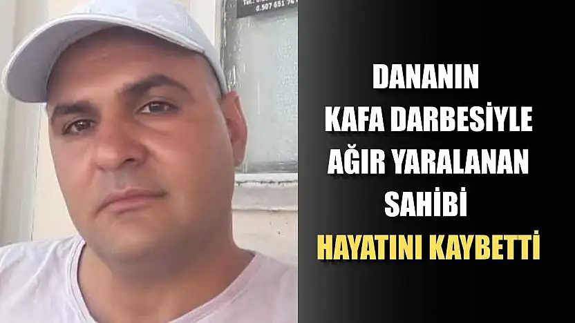 Dananın kafa darbesiyle ağır yaralanan sahibi hayatını kaybetti