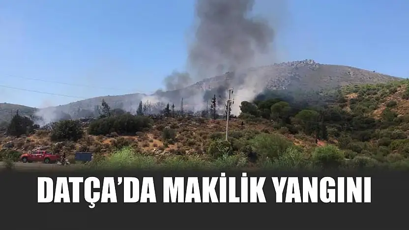 Datça'da makilik yangını