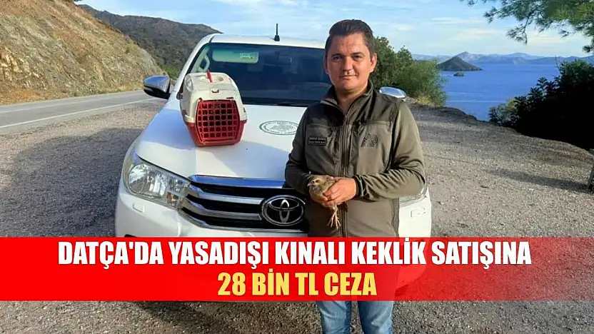 Datça'da Yasadışı Kınalı Keklik satışına 28 bin TL ceza