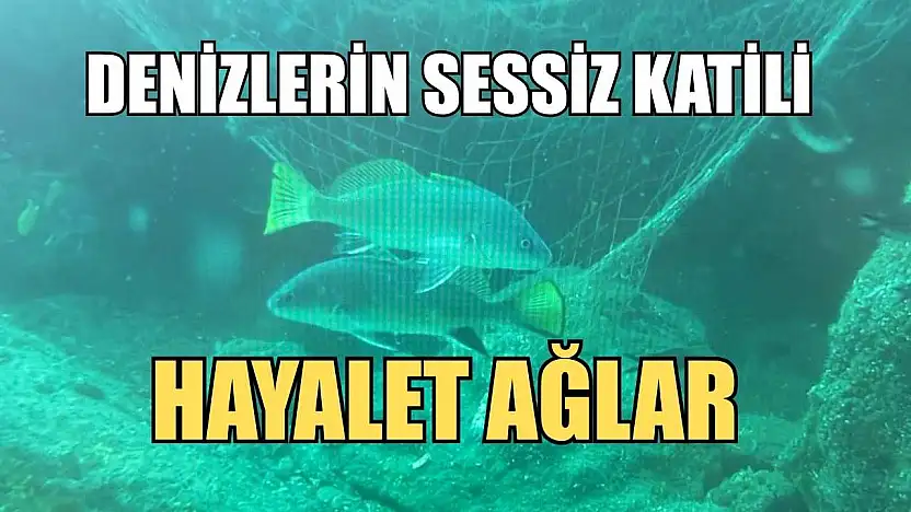 Denizlerin sessiz katili: Hayalet ağlar