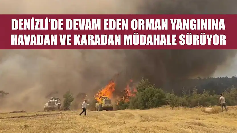Denizli'de devam eden orman yangınına havadan ve karadan müdahale sürüyor