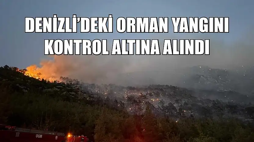 Denizli'deki orman yangını kontrol altına alındı