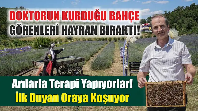 Doktorun kurduğu bahçe görenleri hayran bıraktı!