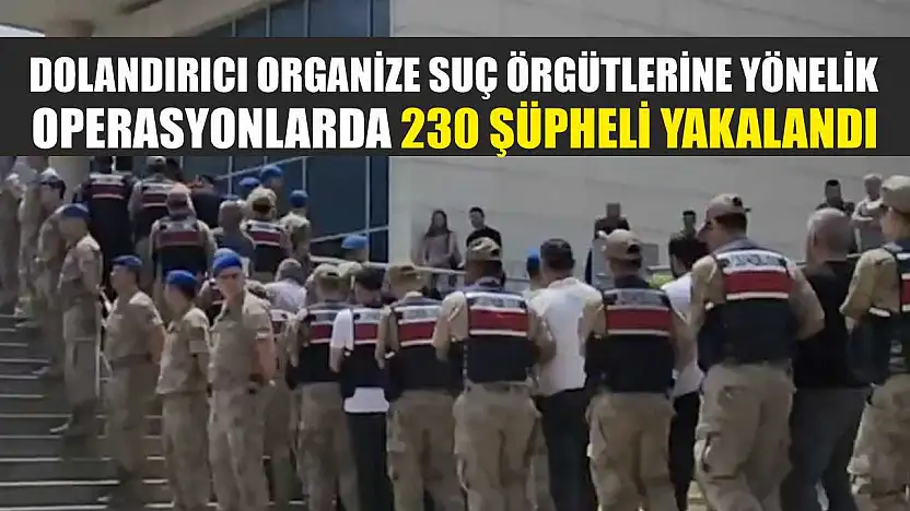 Dolandırıcı organize suç örgütlerine yönelik operasyonlarda 230 şüpheli yakalandı