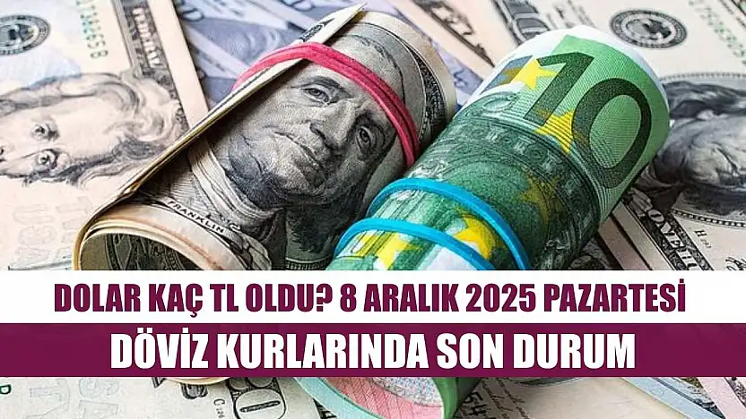 Dolar Kaç TL Oldu? 8 Aralık 2025 Pazartesi Döviz Kurlarında Son Durum
