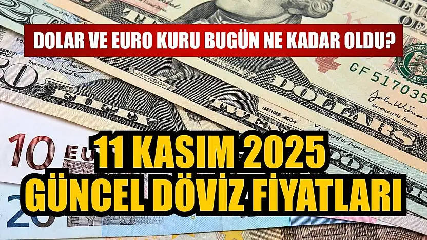 Dolar ve Euro kuru bugün ne kadar oldu?  11 Kasım 2025 güncel döviz fiyatları