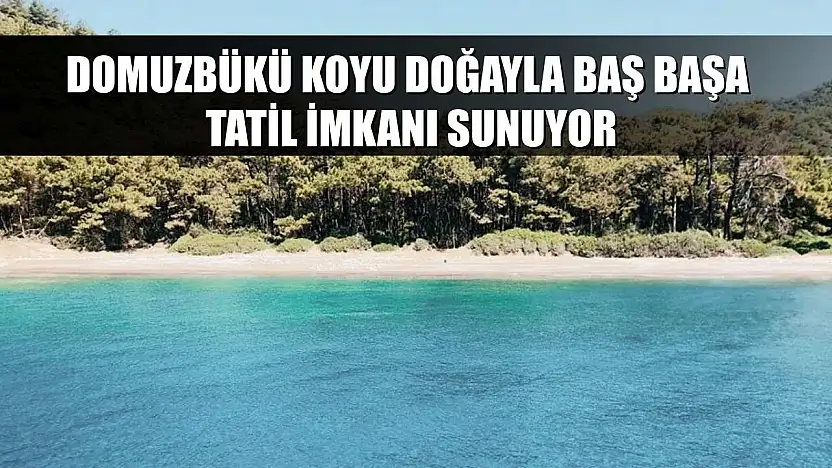 Domuzbükü Koyu Doğayla Baş Başa Tatil İmkanı Sunuyor