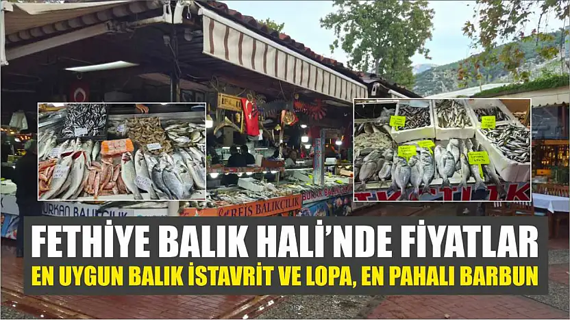 Fethiye Balık Hali'nde fiyatlar: En uygun balık istavrit ve lopa, en pahalı barbun