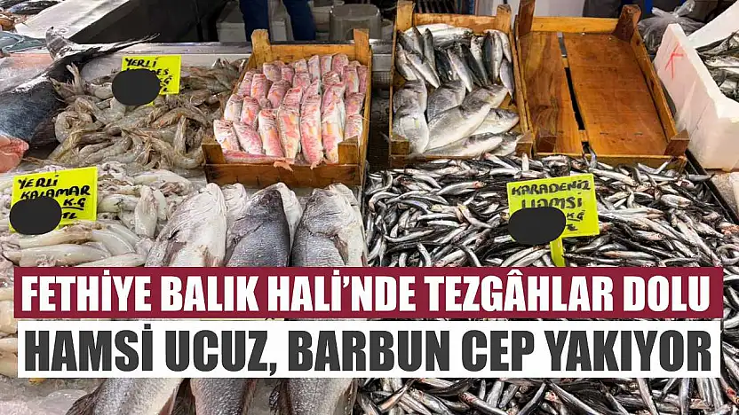 Fethiye Balık Hali'nde tezgâhlar dolu: Hamsi ucuz, Barbun cep yakıyor