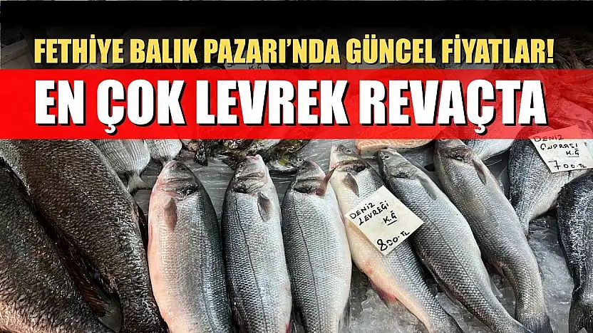 Fethiye Balık Pazarı'nda Güncel Fiyatlar! En Çok Levrek Revaçta